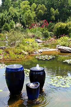 pond fountain