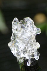 water fountain macro
